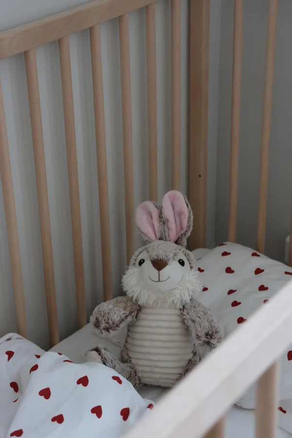 kanin1 Kanin bamse